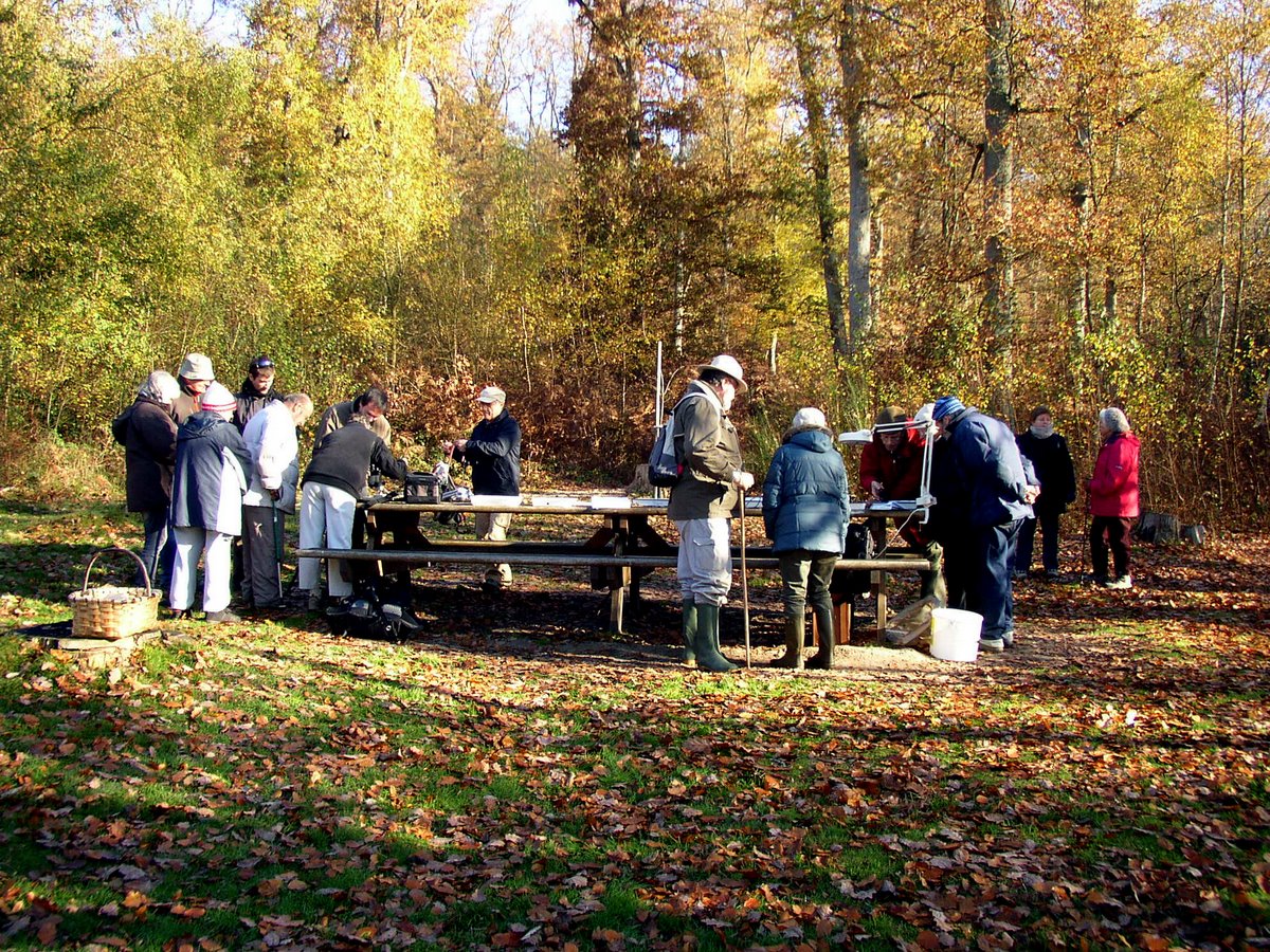 2011 11 Macrofaune benthique St Léger 17